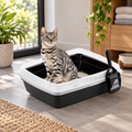 Open Top Cat Litter Box with Scoop